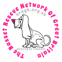 Basset Rescue Network GB