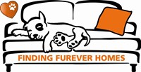 Finding Furever Homes